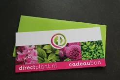 Cadeaubon - Ter Waarde Van 25 Euro