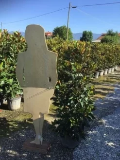 Beverboom (Magnolia Grandiflora 'Little Gem') 7 Beverboom (Magnolia Grandiflora 'Little Gem') -Tuinplanten Winkel magnola little gem 125 150 c25 2